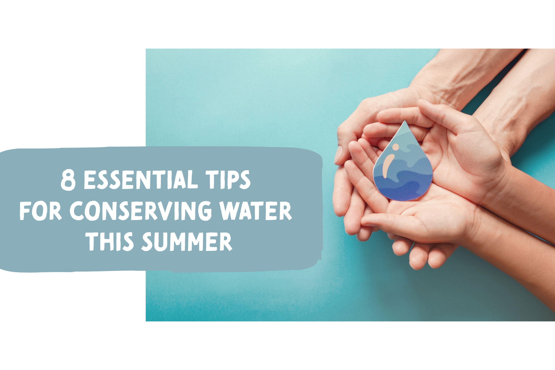 Blog on how to cut back on water usage in the summer.